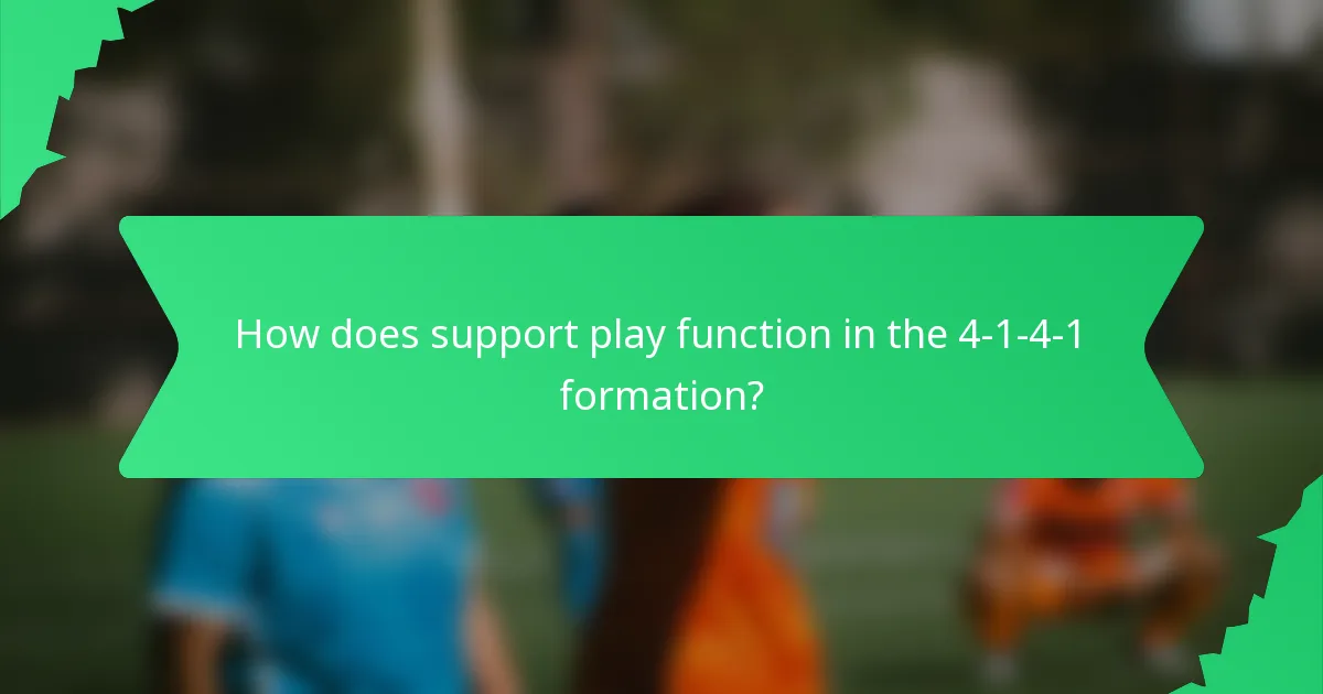 How does support play function in the 4-1-4-1 formation?